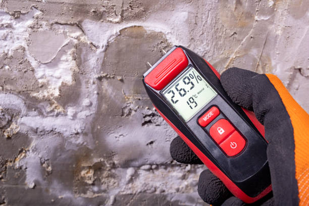 Best Water Damage Restoration  in Delavan Lake, WI