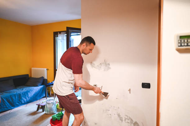Best Commercial Mold Removal  in Delavan Lake, WI