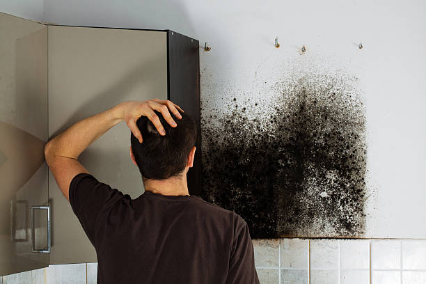 Best Certified Mold Removal  in Delavan Lake, WI